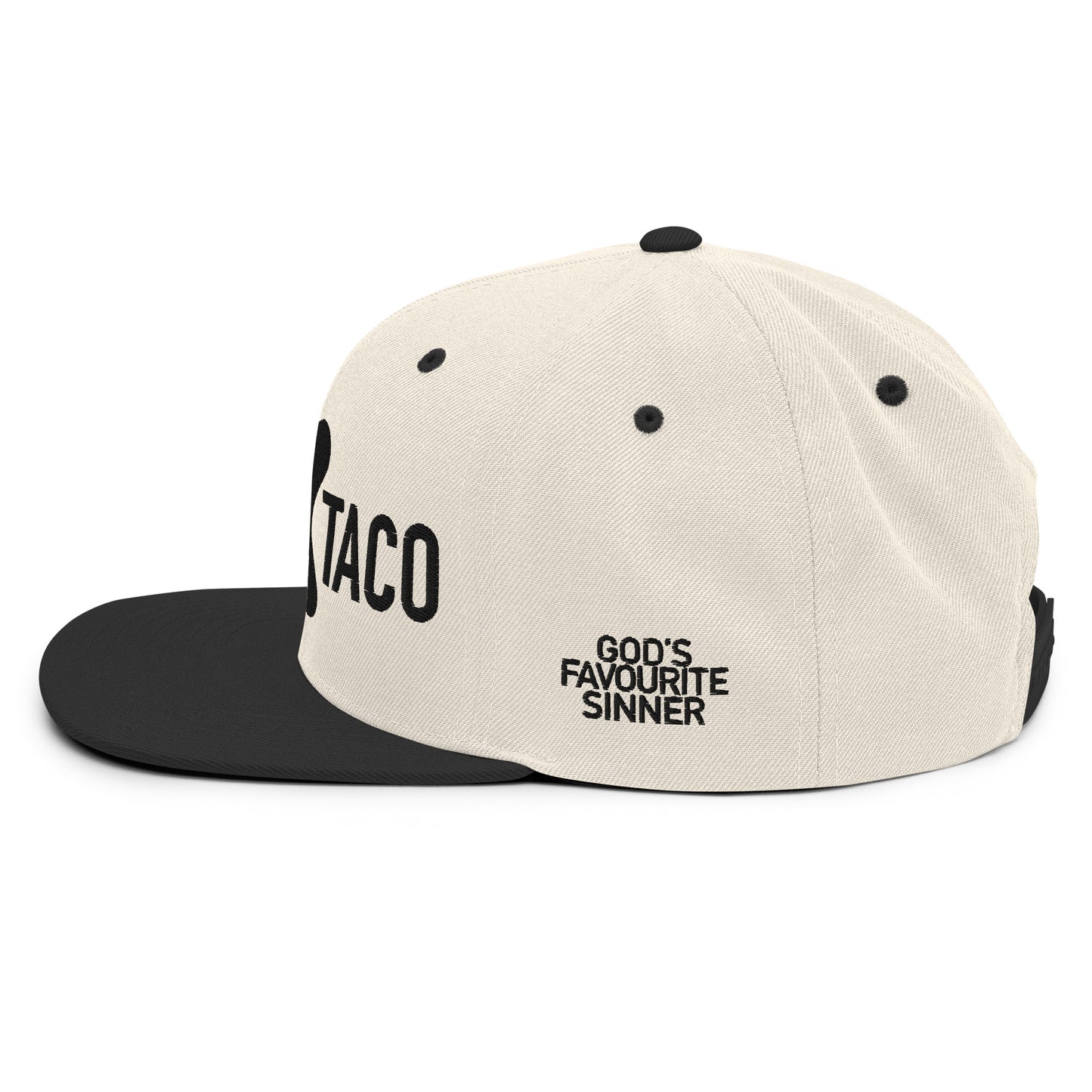 Alternate Logo Snapback Hat