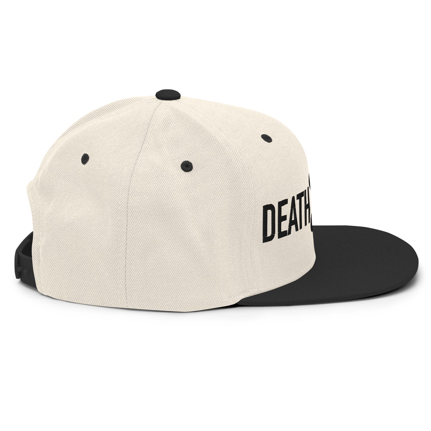 Alternate Logo Snapback Hat